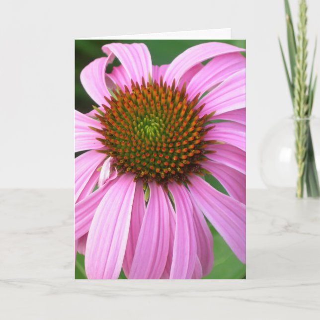 Tarjeta Cumpleaños rosado de Coneflower (Anverso)