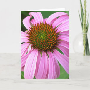 Tarjeta Cumpleaños rosado de Coneflower