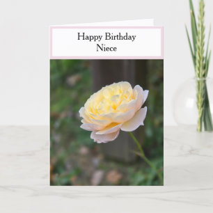 Tarjeta Cumpleaños Sobrina Cupcake Rosas Amarillas Pastel