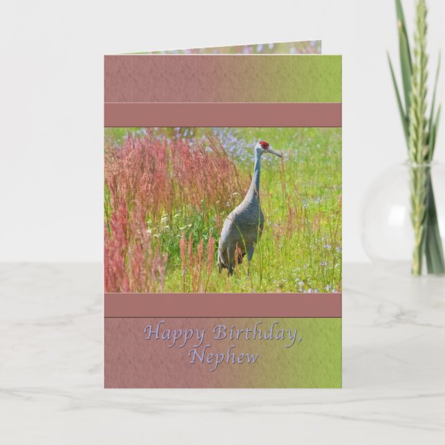 Tarjeta Cumpleaños, sobrino, ave de Sandhill Crane (Anverso)