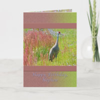 Cumpleaños, sobrino, ave de Sandhill Crane