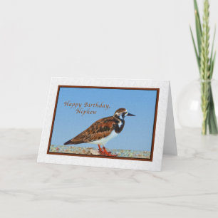 Tarjeta Cumpleaños, sobrino, pájaro Ruddy Turnstone