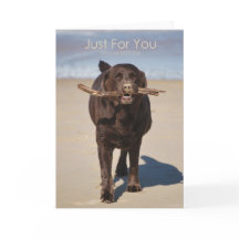 Cumpleaños sólo para ti