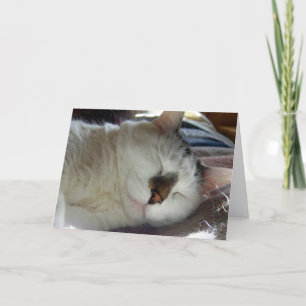 Tarjeta Cumpleaños soñoliento del gatito