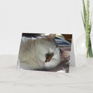 Tarjeta Cumpleaños soñoliento del gatito