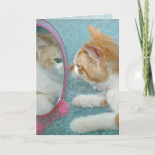 Tarjeta Cumpleaños Tabby Cat en espejo