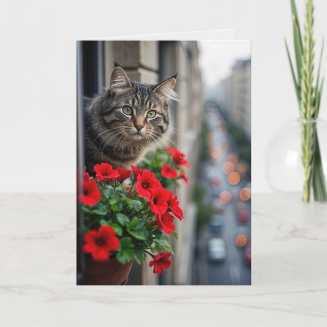 Tarjeta Cumpleaños Tabby Cat En La Ventana Del Apartamento (Anverso)
