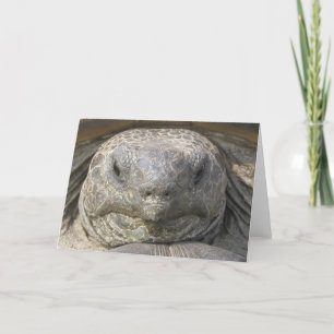 Tarjeta Cumpleaños tardío