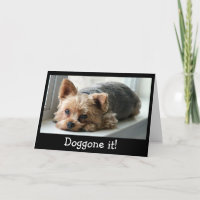 Cumpleaños tardío del perrito triste de Yorkie