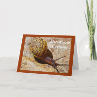 Cumpleaños tardío del snail mail