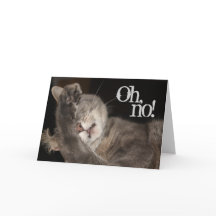Cumpleaños tardío, gato