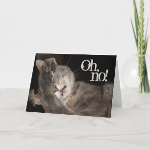 Tarjeta Cumpleaños tardío, gato