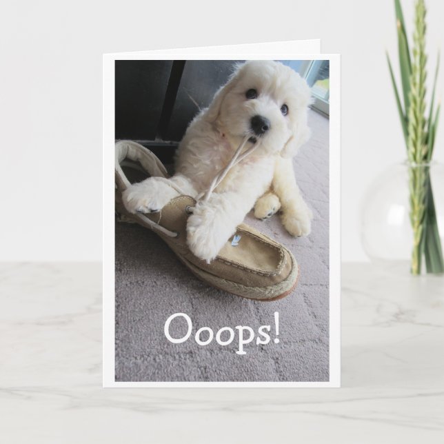 Tarjeta Cumpleaños tardío, Humor pequeño de Goldendoodle (Anverso)