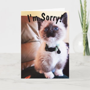 Tarjeta Cumpleaños tardío lo siento, gatito siamés lindo