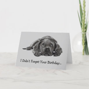 Tarjeta Cumpleaños tardío: NO OLVIDÓ: DEMASIADO ABURRIDO,