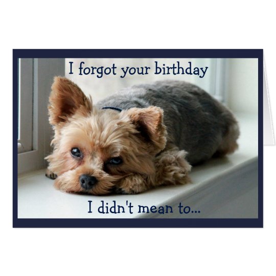 Tarjeta Cumpleaños tardío triste de Yorkie