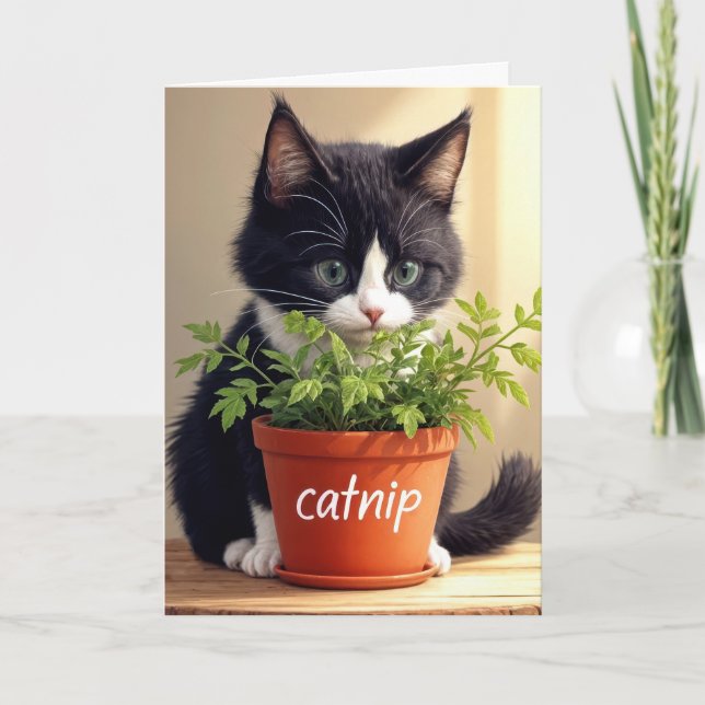 Tarjeta Cumpleaños Tuxedo Gatito Con Planta De Pescado (Anverso)
