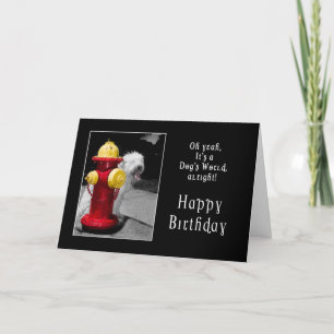 TARJETA CUMPLEAÑOS - UN PERRO AFORTUNADO - HIDRATA/PERRO