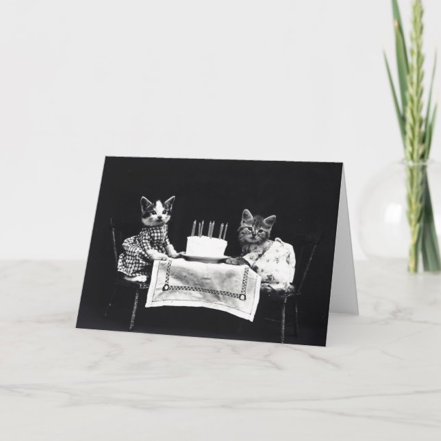 Tarjeta Cumpleaños vestido gato divertido de los gatitos (Anverso)