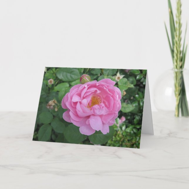 Tarjeta Cumpleaños-Viaje alrededor del Sun (Anverso)