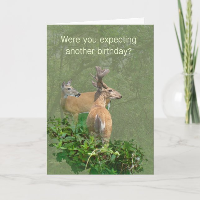 Tarjeta Cumpleaños Whitetail Deer Buck & Doe (Anverso)