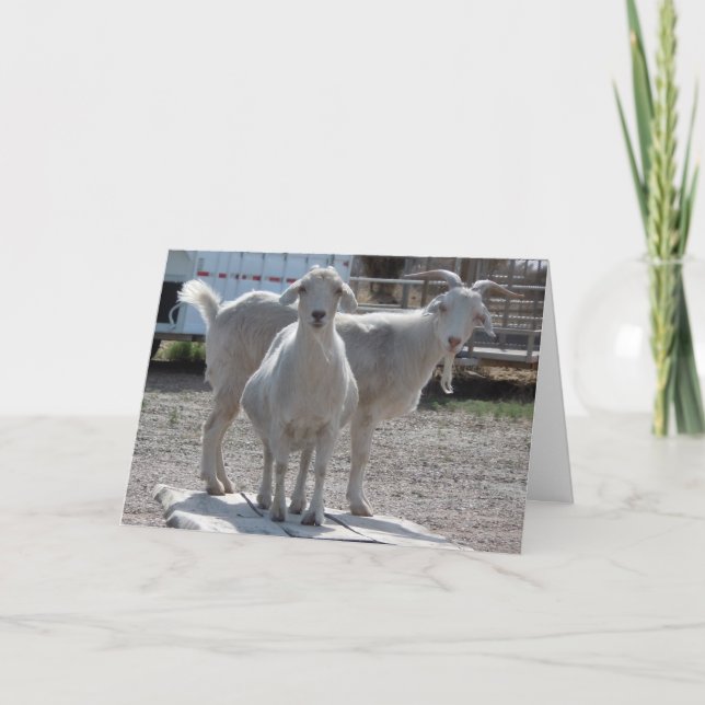 Tarjeta Cumplido divertido de la enhorabuena del (Anverso)