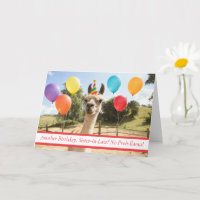 Cuñada Llama Lindo Sombrero de Fiesta y Globos