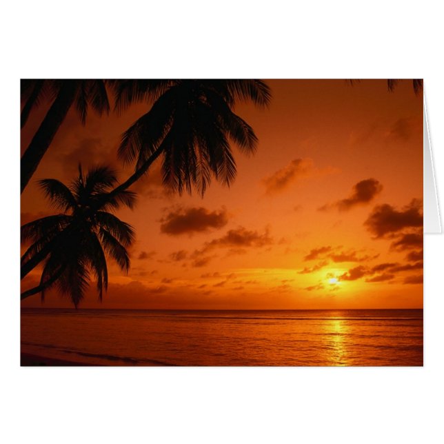 Tarjeta curativa de la puesta del sol (Anverso (Horizontal))