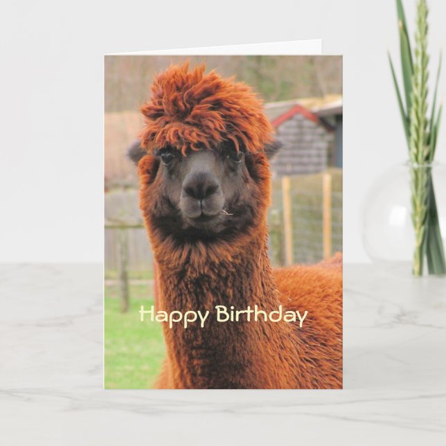 Tarjeta curiosa del ~ de la alpaca (Anverso)