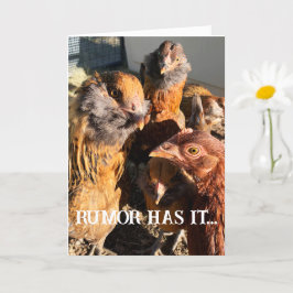 Tarjeta Curiosa y divertida foto de cierre de pollos de Am