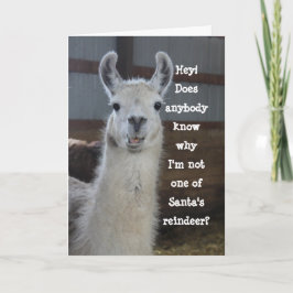 Tarjeta Curiosa y divertida Llama cómica Feliz Navidad