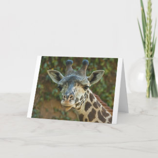 Tarjeta Curioso Giraffe