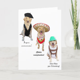 Tarjeta Curioso perro feliz cumpleaños en cuatro idiomas