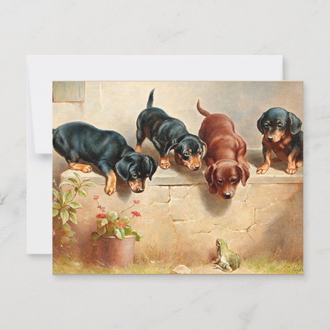 Tarjeta Curiosos cachorros de Dachshund y una rana (Anverso)