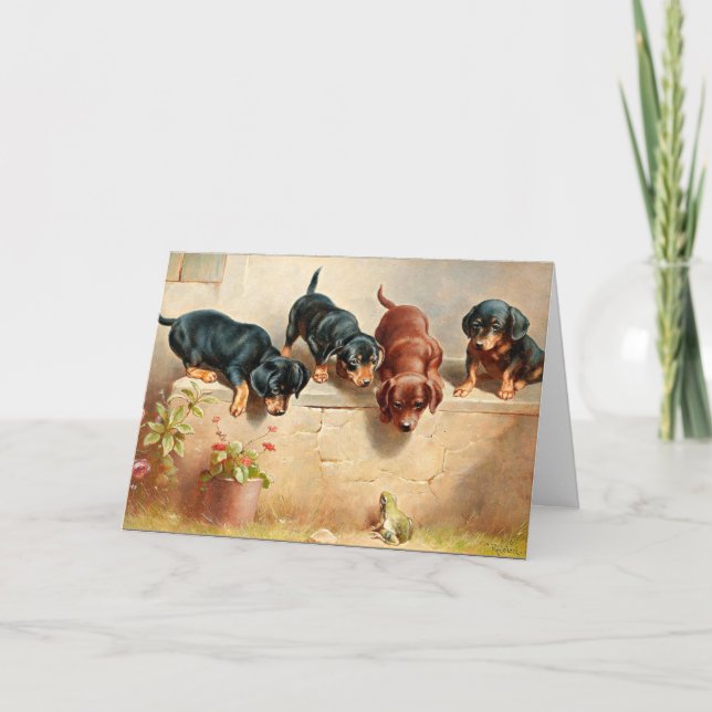 Tarjeta Curiosos cachorros de Dachshund y una rana (Anverso)