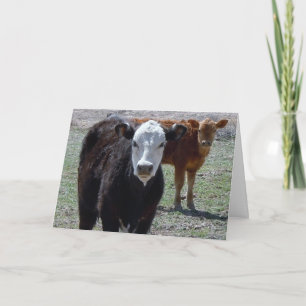 Tarjeta Curte felicitaciones Vet Graduate - Ranch Farm DVM