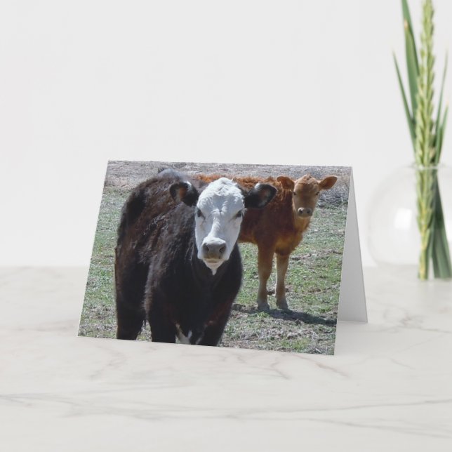 Tarjeta Curte felicitaciones Vet Graduate - Ranch Farm DVM (Anverso)
