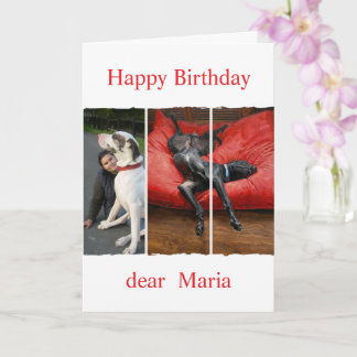 Tarjeta Custom pet (dog) photo and message