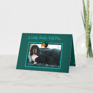 Tarjeta Cuta de Cumpleaños con Hound y Birdie