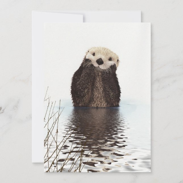 Tarjeta Cute Adorable Fluffy Otter Animal (Anverso)