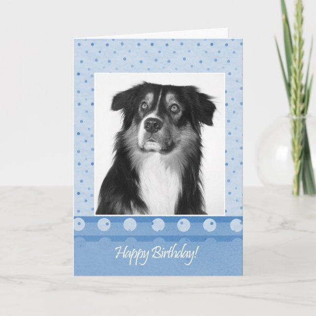 Tarjeta Cute Australian Shepherd Dog Happy Birthday Card (Anverso)