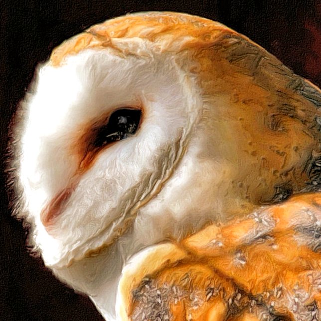 TARJETA CUTE BARN OWL (Subido por el creador)