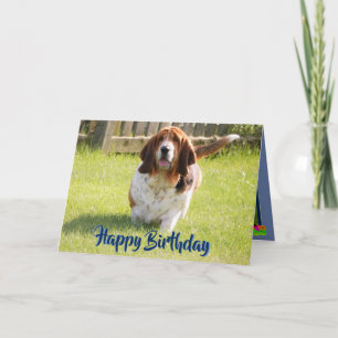 Tarjeta Cute Basset Hound En Funny Birday Card