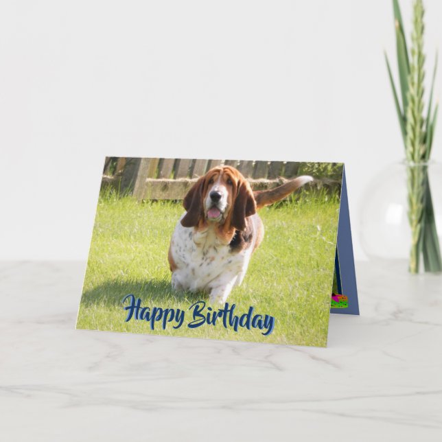 Tarjeta Cute Basset Hound En Funny Birday Card (Anverso)