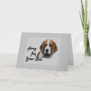 Tarjeta Cute Beagle Tri Colored Sinceridad Lamento tu Pér