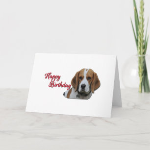 Tarjeta Cute Beagle Tri Colorido Feliz cumpleaños Red