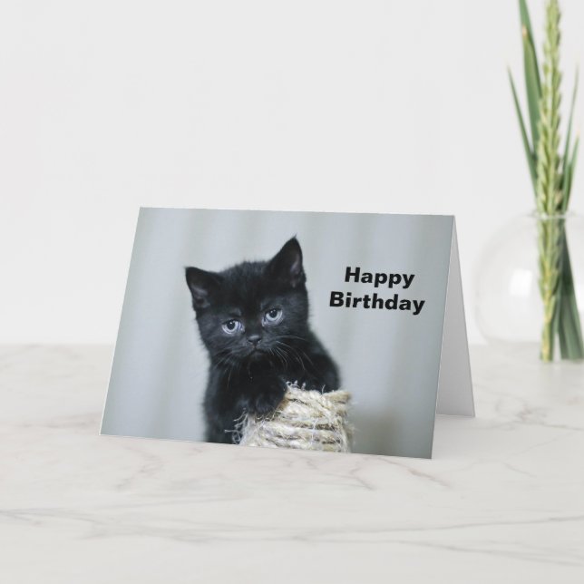 Tarjeta Cute Black Kitten Twine Photo Birday (Anverso)