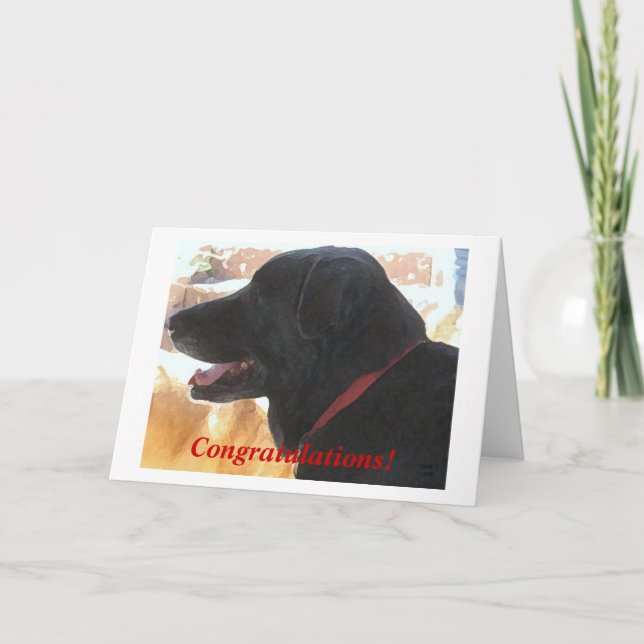 Tarjeta Cute Black Lab Dog Felicitaciones Graduación DVM (Anverso)