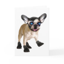 Tarjeta Cute Blank-Inside