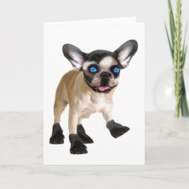 Tarjeta Cute Blank-Inside